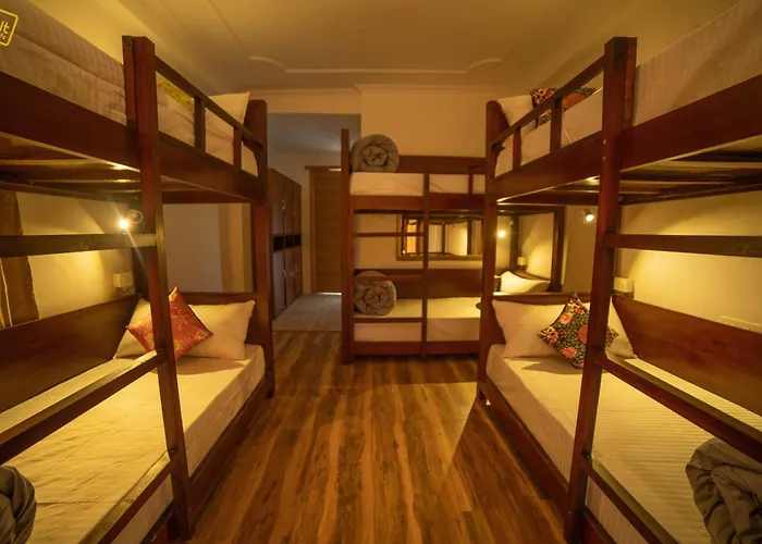 Alt Life - Manali Hostel
